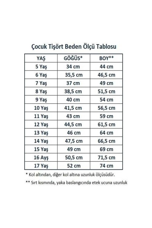 Kız Çocuk Okul Tarz %100 Pamuk T-Shirt -5-17 Yaş AG004