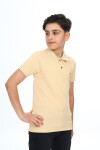 Erkek Çocuk Polo Yaka T-Shirt 5-14 Yaş Lxb018