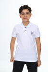 Erkek Çocuk Polo Yaka T-Shirt 5-14 Yaş Lxb018