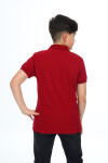 Erkek Çocuk Polo Yaka T-Shirt 5-14 Yaş Lxb018
