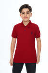 Erkek Çocuk Polo Yaka T-Shirt 5-14 Yaş Lxb018