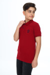 Erkek Çocuk Polo Yaka T-Shirt 5-14 Yaş Lxb018