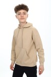 Erkek Çocuk Kapüşonlu 3 İplik Sweatshirt Px7141.1